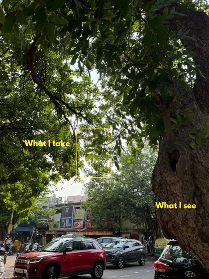 This is how I see the world. On the left is the ordinary scene I saw, and on the right is the final photograph I created by focusing on the light filtering through the leaves. It's all about finding the beauty in the details.