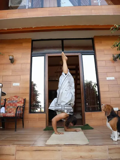 My dog watches as I practice a forearm stand. My pets are often my best audience.