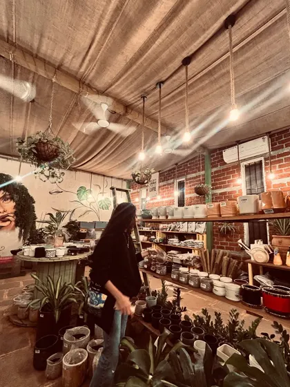 A quiet moment browsing the shelves. I love seeing customers get lost in the world of plants and pots I've curated.