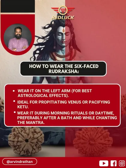 For best astrological effects, I recommend wearing the Six-Faced Rudraksha on the left arm. It is ideal for pacifying Venus or Ketu and should be worn during morning rituals after a bath while chanting its mantra.