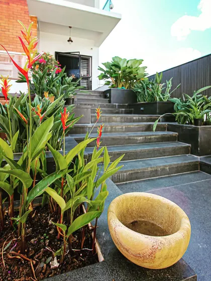 The landscaped entrance stairs of the MV Residence, designed with dark stone steps and lush greenery to create a welcoming journey into the home.