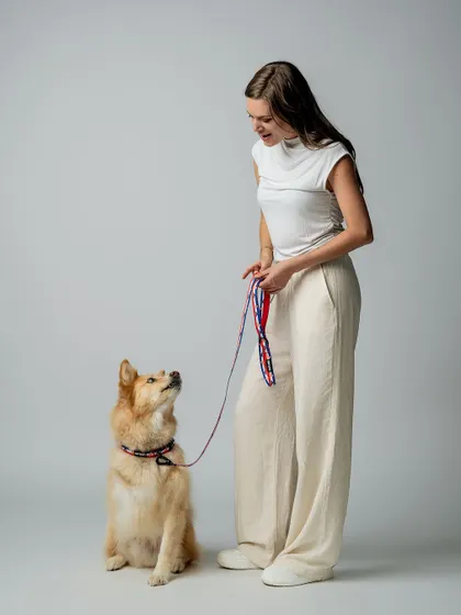 "Who's a good boy?" A model interacts with a beautiful dog during a lifestyle shoot for a pet accessory brand. These shots help customers visualize the products in real life.