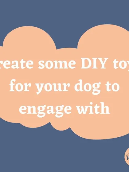 Creating DIY toys is a fun activity for both you and your dog, and a great way to spend a rainy afternoon.