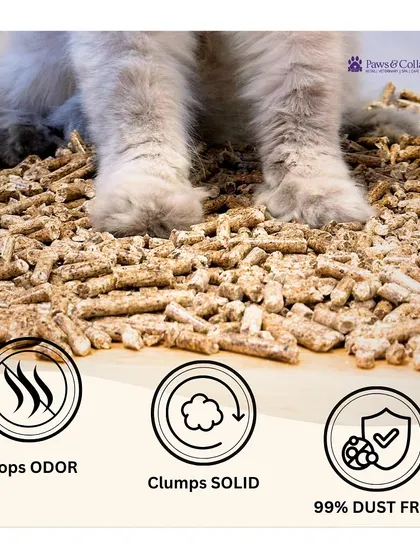 A repeat of image 74, this close-up infographic is a powerful tool for quickly communicating the three main selling points of EcoCat litter.