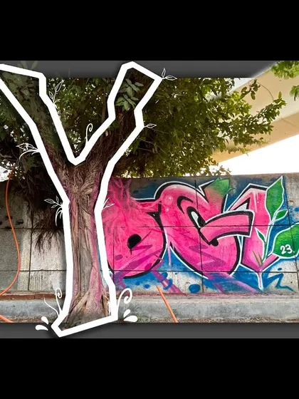 A creative edit showing how the tree's shape inspired the 'Y' in my name. Nature is always the best source of inspiration.