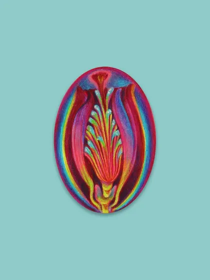 The abstract form isolated on a colored background.