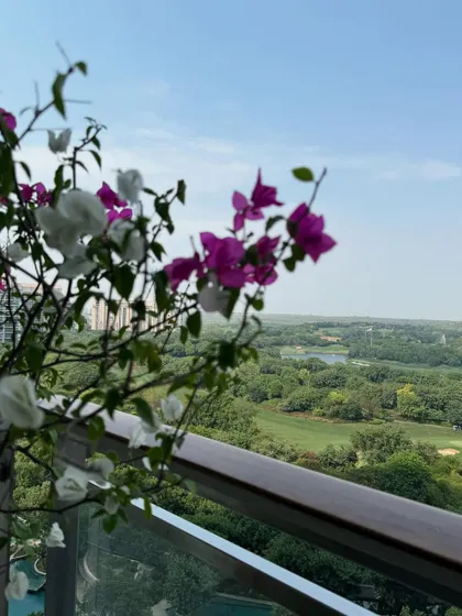 A close-up shot of the delicate white and pink Bougainvillea flowers, with the lush green landscape of the DLF Camellias golf course providing a perfect backdrop. It's all about creating beautiful views.