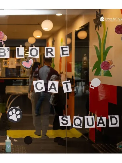 We were proud to support the "B'lore Cat Squad" at this adoption event, helping find homes for the many wonderful cats and kittens in need.