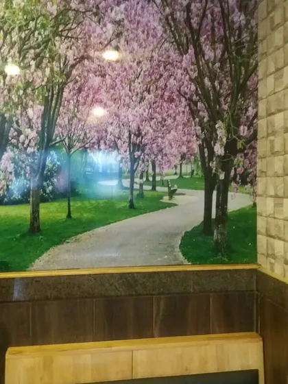 A beautiful custom mural of a park with cherry blossom trees, adding a touch of spring and vibrant color to the room.