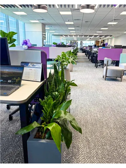 From layout to lush greenery, we manage the entire design and execution process. This image from a corporate office shows the final result: a seamless integration of plants that brings the initial vision to life.