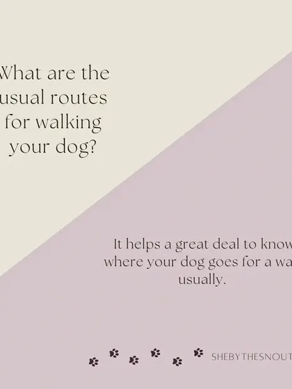 Knowing your dog's usual walking routes helps keep their day predictable and comfortable.