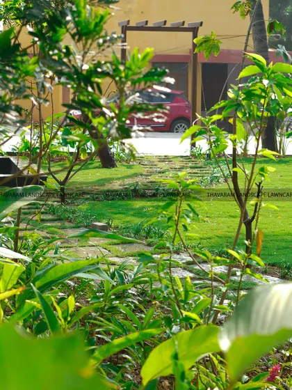Another layered view of a residential garden, with a focus on the healthy green lawn and the variety of plant textures.