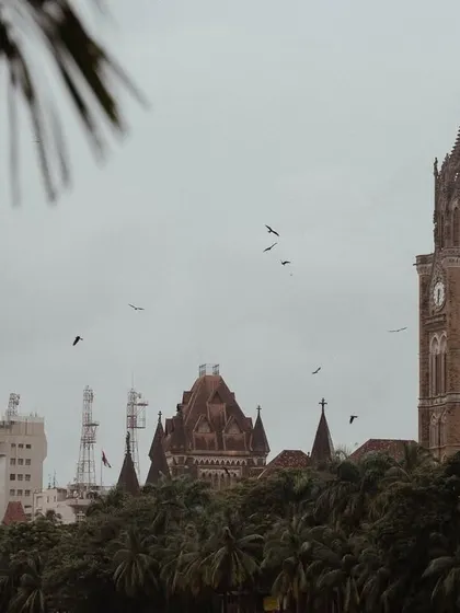 A series of photographs capturing the architectural memory of old Bombay. These images feature landmarks like the Rajabai Clock Tower, the Asiatic Society Library, and other colonial-era structures, often framed by trees.