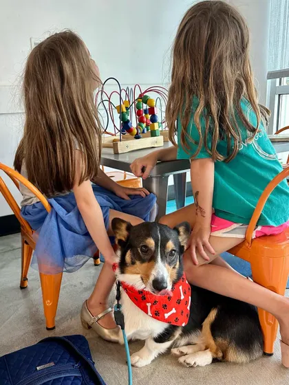 This is Cowboy, who is training to be a therapy dog. Here he is at On the Cusp Kids, learning to be calm and comforting for children who might be nervous.