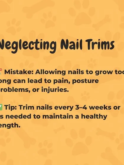 This is a tip about one of the most common grooming mistakes: neglecting nail trims. Overgrown nails can cause pain, lead to posture problems, and even result in injuries. I recommend a trim every 3 to 4 weeks.