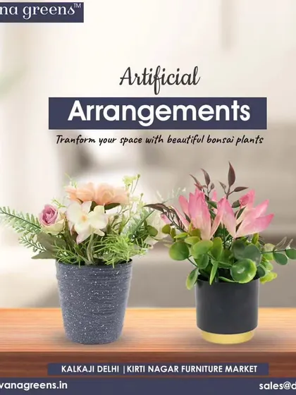 Transform your space with beautiful bonsai plants. These small, delicate arrangements are perfect for adding a touch of nature to your desk or tabletop.