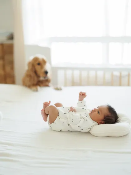 My own little world. This photo from our at-home session shows our dog Luca watching over my son Caden from a distance, already in his role as a protective big brother.