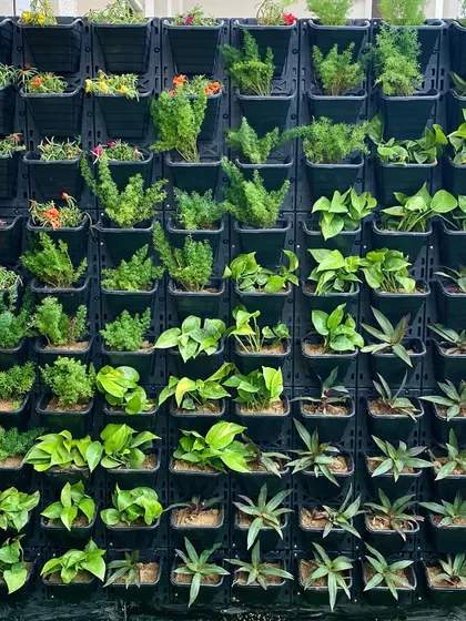 This is where the magic begins. A look at the structure of our living walls, with each planter ready to hold a different plant, creating a mosaic of greenery.