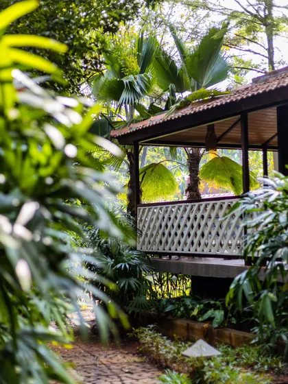 A cottage porch peeking through the lush green foliage, inviting you to step into nature's embrace.
