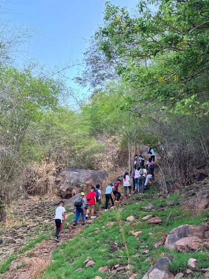 A line of young hikers makes its way up a forested trail. We guide our campers through wild trails, teaching them about navigation, endurance, and responsible hiking.
