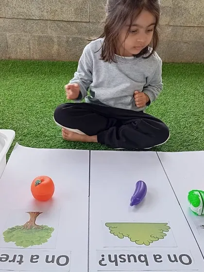 Another child participates in the vegetable sorting game, placing items in the correct columns. This helps reinforce their understanding of plant life and food origins.