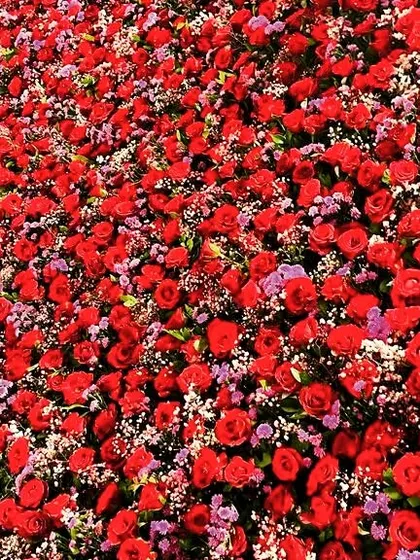 A beautiful sea of red roses and baby's breath. We often use mass floral arrangements like this to create high-impact, luxurious decor elements.