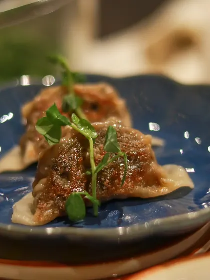 A close-up of delicate, pan-fried gyoza, garnished with microgreens.