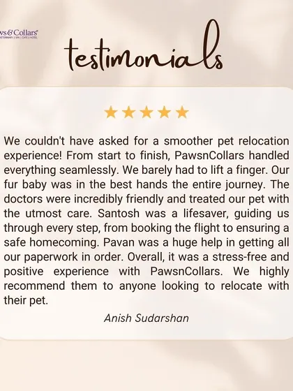 "We barely had to lift a finger." This glowing testimonial from Whiskey's family details how our team handled everything from booking the flight to managing all the paperwork, providing a seamless and positive relocation experience.