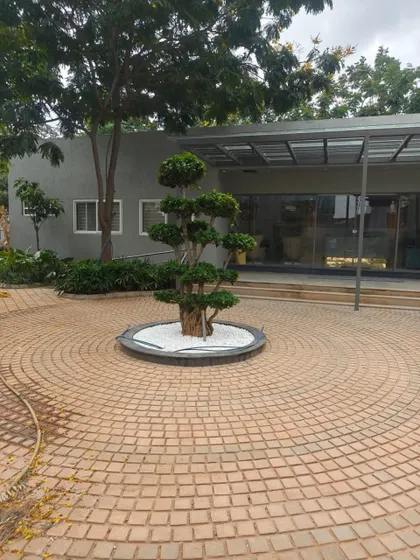 A circular cobblestone patio with a sculpted bonsai tree as the central feature, surrounded by a clean bed of white pebbles. This is an example of my detailed hardscaping work, creating focal points that enhance the overall garden aesthetic.