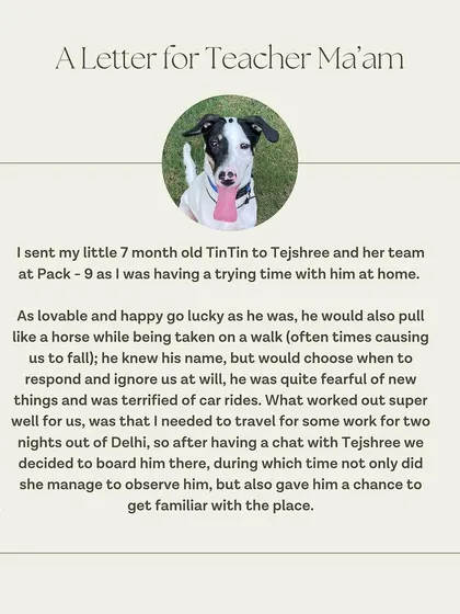 A letter from TinTin's guardian explaining the challenges they faced before he came to our Board & Train program.