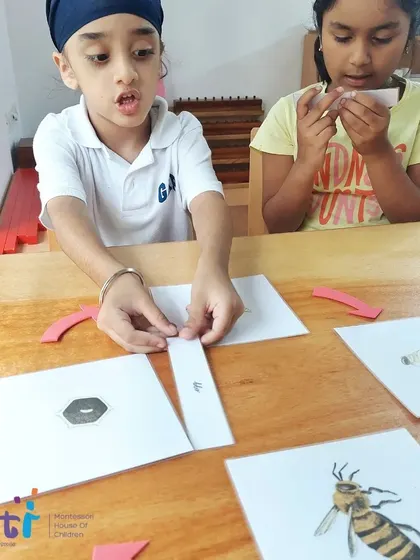 Two students work together to sequence the lifecycle of a bee. Collaborative learning helps reinforce their understanding and social skills.