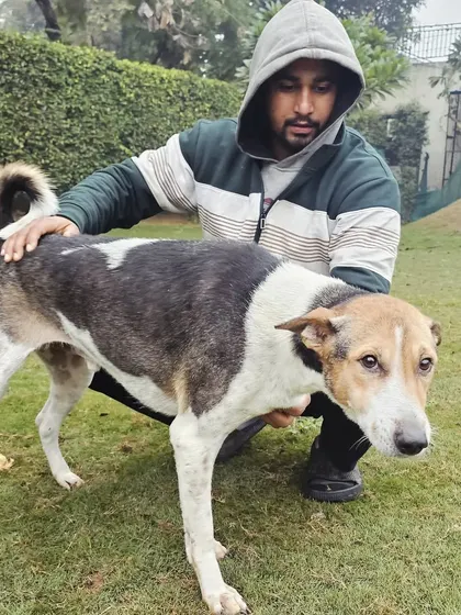 Here I am with Bira, a beautiful Indie dog. I have experience grooming dogs of all backgrounds and temperaments, ensuring they get the right care for their specific needs.