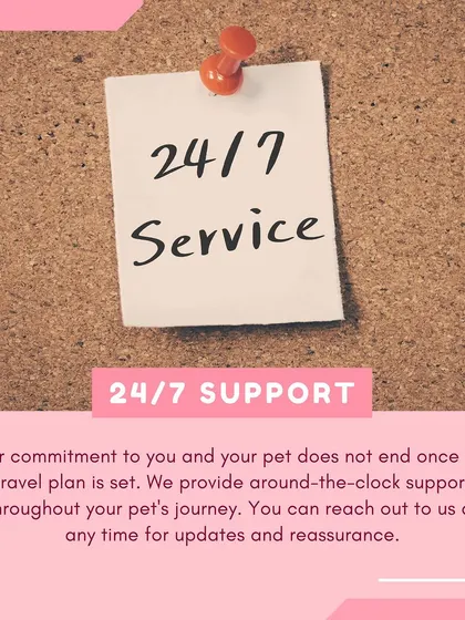 Our commitment doesn't end once the travel plan is set. We provide 24/7 support throughout your pet's journey, so you can reach out anytime for updates and reassurance.