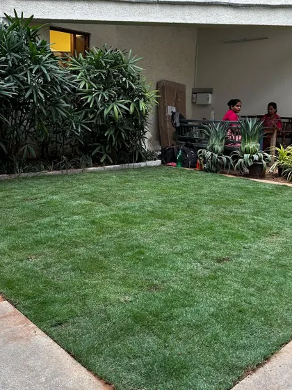 A wide shot of the newly installed lawn at the Taneira store, providing a fresh green carpet in front of the building and creating a more inviting entrance for customers.