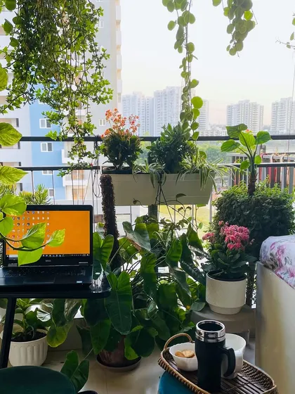 My balcony also doubles as my workspace. Surrounded by greenery, it’s the most inspiring place to be productive.