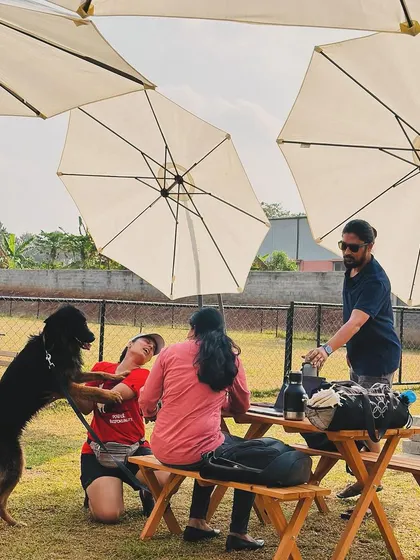 Friends relaxing at a picnic table under the shade of our umbrellas, a perfect spot to watch the dogs play.