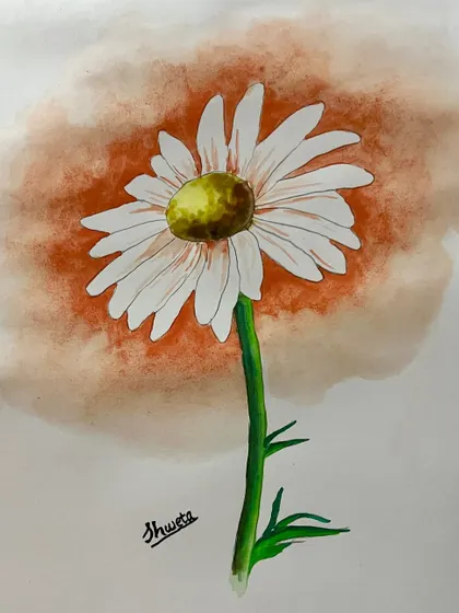 A simple watercolor study of a daisy. I enjoy capturing the delicate details of flowers, from the soft petals to the textured center.