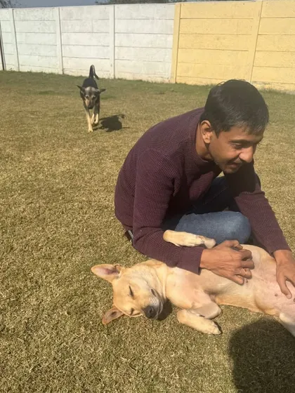 A peaceful moment of belly rubs in the sun. We create a calm and trusting environment for all pets.