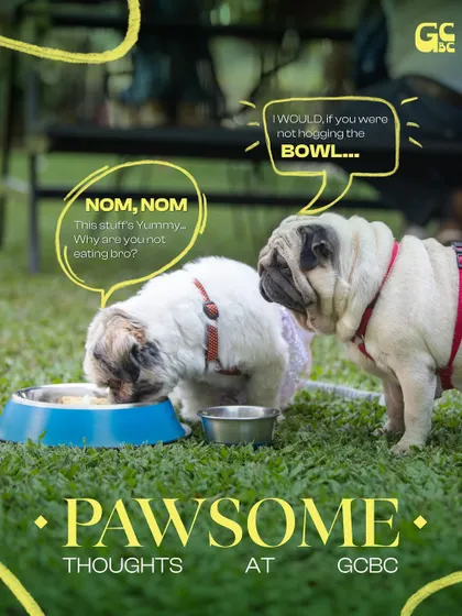 Pawsome thoughts at GCBC. These two pups are having a serious discussion about sharing their food.
