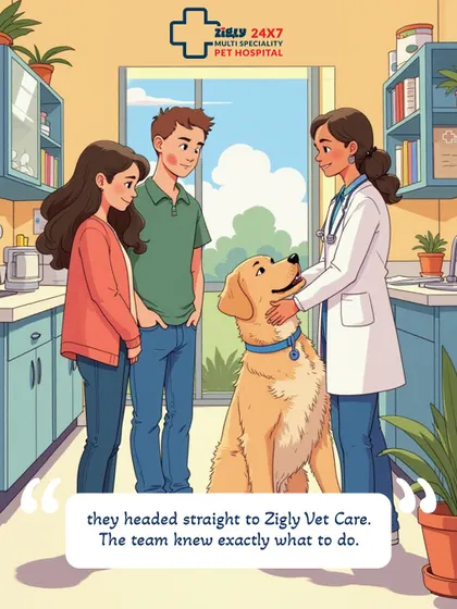 Acting quickly, Joy's parents took him straight to our clinic. This part of the story highlights the importance of seeking professional veterinary care when you suspect your pet has eaten something they shouldn't have.