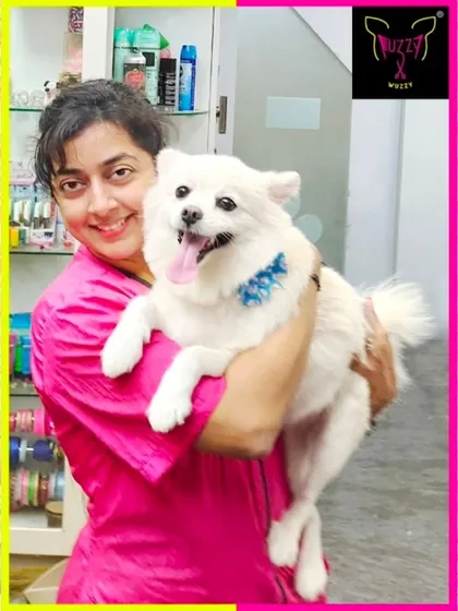 Sweet Sweety. This happy Pomeranian is all fluff and smiles after her spa day.