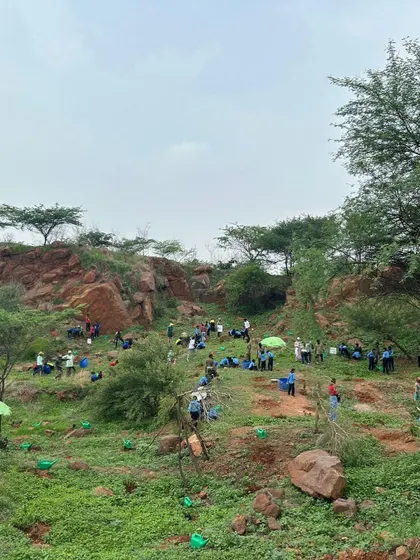 A wide shot showing the scale of a plantation drive in a mined-out pit, with dozens of students and volunteers dotting the hillside.