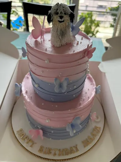 A closer look at Inaaya's birthday cake, featuring a hand-sculpted topper of their beloved dog. The pink and blue ombre tiers are decorated with delicate, edible butterflies.