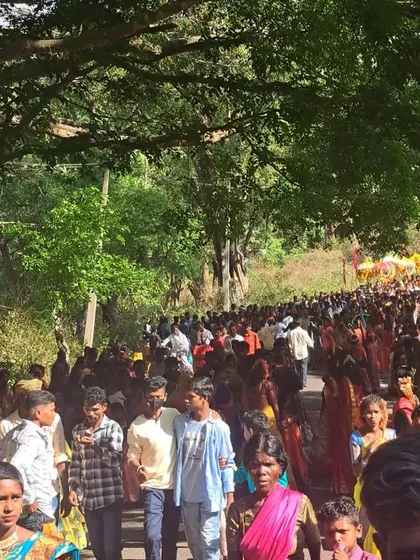 The sheer scale of the procession, with thousands of Soliga tribe members participating.
