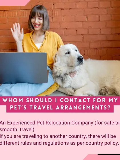 Whom should you contact for your pet's travel arrangements? An experienced pet relocation company like ours is essential for safe and smooth travel, especially for international moves with complex rules.