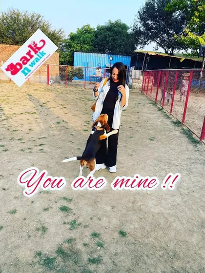 This is Bolt, and he considers himself the official greeter. I love building a personal connection with every dog that comes here. It's important to me that they feel loved and excited to see me and my team every single time.