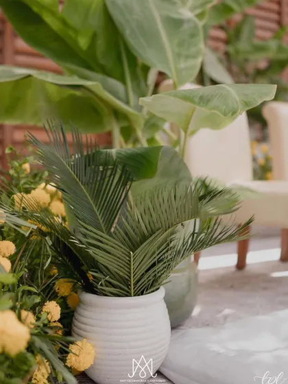 A simple yet beautiful detail, with potted palms and marigolds adding a touch of natural elegance to the decor.