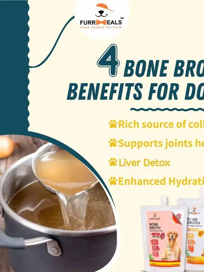 Here are four key benefits of my bone broth: it's a rich source of collagen, supports joint health, aids in liver detox, and enhances hydration. A true multi-tasker for your dog's health.
