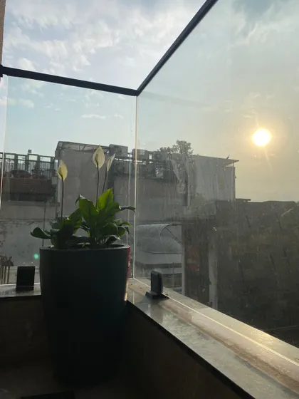 A beautiful peace lily in a dark planter against the setting sun. This simple addition brings a sense of calm and elegance to the balcony.