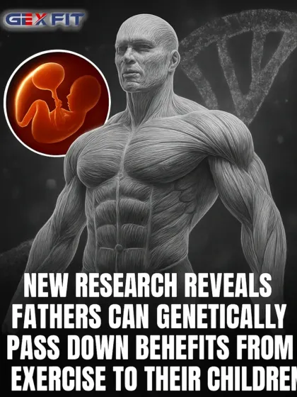 Did you know a father's exercise can genetically benefit his future children? This graphic breaks down new research from Cell Metabolism showing how a father's training can upgrade the metabolic performance of his offspring through sperm microRNAs.